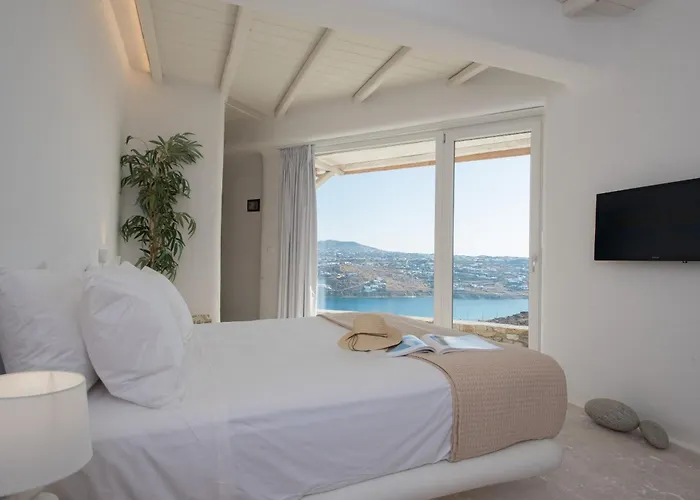 酒店 White Stone Mykonos